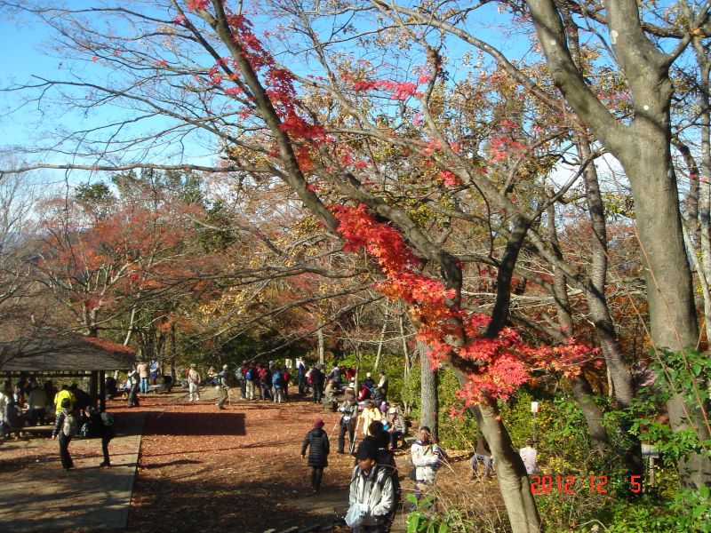 DSC05899_800.jpg